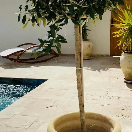 Ferienhaus Exceptionnelle Petite Maison Avec Piscine Privee Aux Portes D'arles