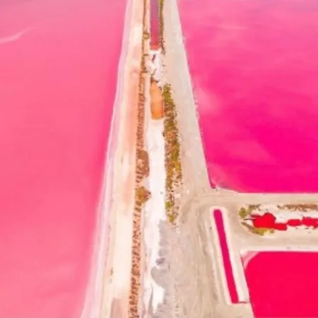 Casa vacanze Exceptionnelle Petite Maison Avec Piscine Privee Aux Portes D'arles